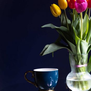 Krzywoustego_pok_1-19